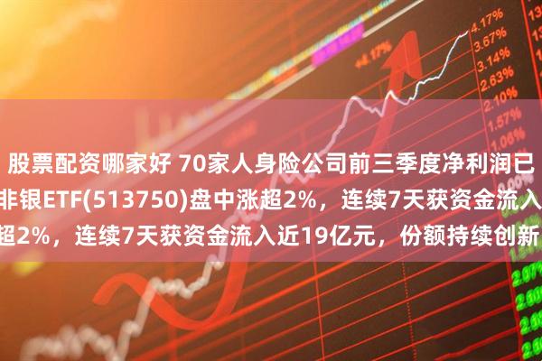 股票配资哪家好 70家人身险公司前三季度净利润已超去年全年，港股通非银ETF(513750)盘中涨超2%，连续7天获资金流入近19亿元，份额持续创新高！