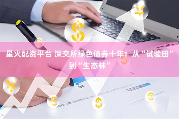 星火配资平台 深交所绿色债券十年:从“试验田”到“生态林”